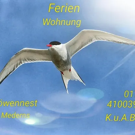 Moewennest *
