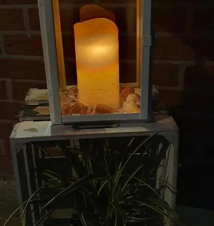 Moewennest *